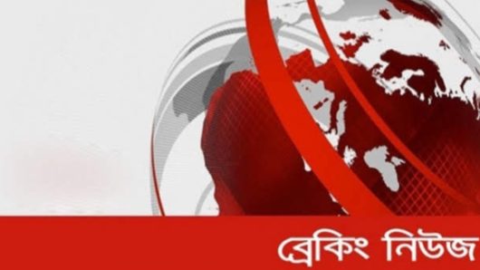 নলছিটিতে অন্তঃসত্ত্বা স্ত্রী ও শ্যায়ালকে পিটিয়ে হত্যা চেষ্টার অভিযোগ