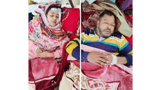 উজিরপুরে স্বামী-স্ত্রীকে কুপিয়ে পিটিয়ে জখম, নগদ টাকা ও মোবাইল ছিনতাইয়ের অভিযোগে 