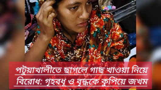 মির্জাগঞ্জে ছাগলে গাছ খাওয়া নিয়ে বিরোধ: গৃহবধূ ও বৃদ্ধকে কুপিয়ে জখম