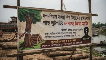 নলছিটিতে শিপ বিল্ডার্সের জমি থেকে গাছ লুট: নেপথ্যে জিয়া মাঝি বাহিনী, থানায় অভিযোগ
