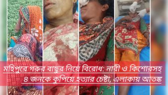মহিপুরে গরুর বাছুর নিয়ে বিরোধ: নারী ও কিশোরসহ ৪ জনকে কুপিয়ে হত্যার চেষ্টা, এলাকায় আতঙ্ক