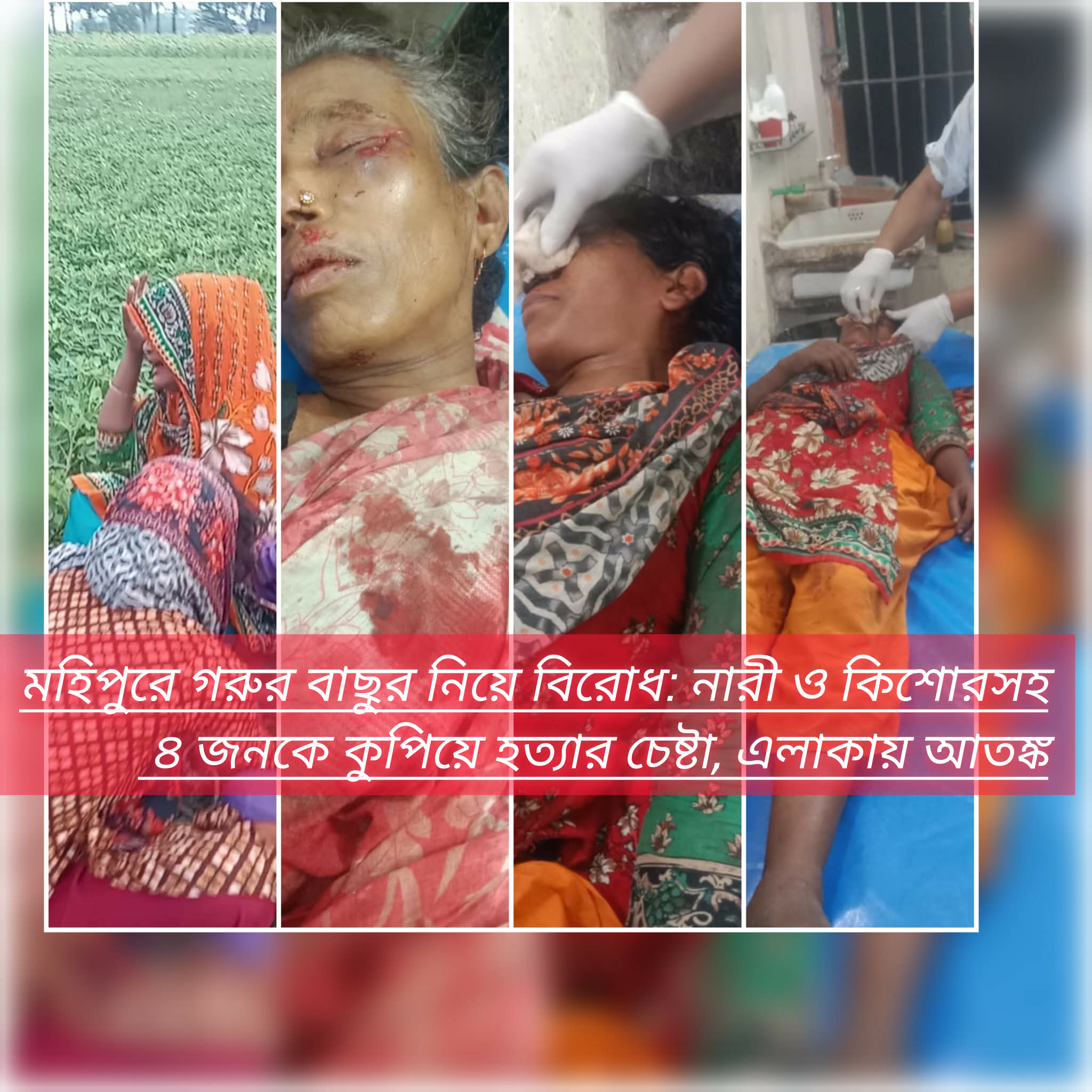 মহিপুরে গরুর বাছুর নিয়ে বিরোধ: নারী ও কিশোরসহ ৪ জনকে কুপিয়ে হত্যার চেষ্টা, এলাকায় আতঙ্ক