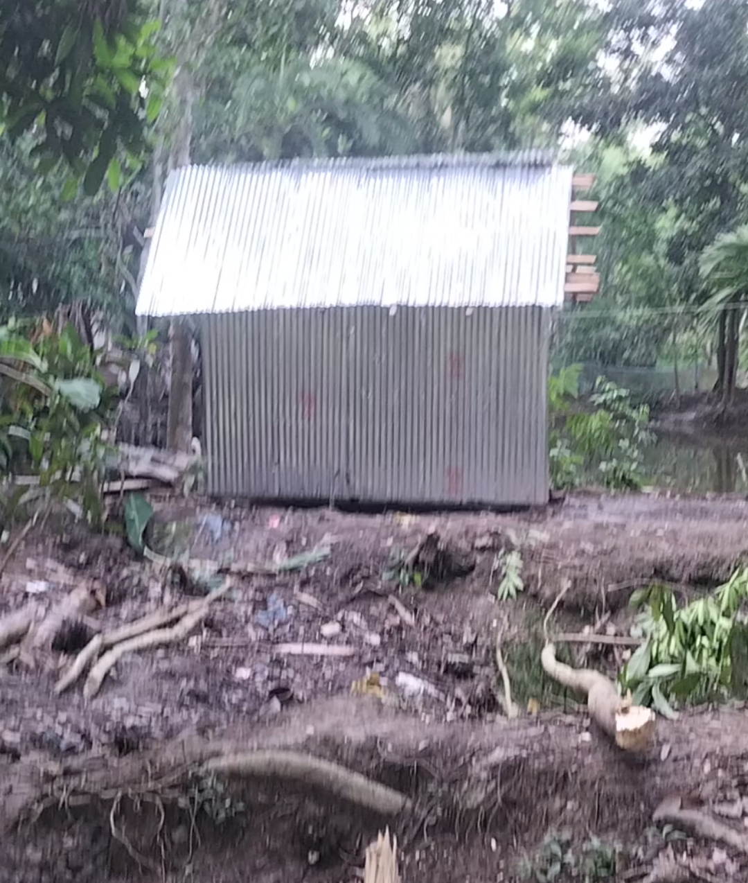 বরিশাল হরিনাফুলিয়ায়  হামলা ও বসত ঘর ভাঙচুরের ঘটনায় থানায় অভিযোগ